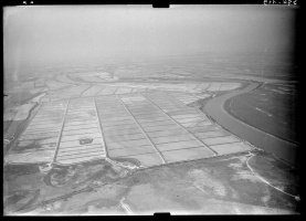Saintes-Maries-de-la-Mer (1956)