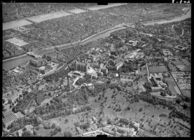 Lyon (1951)