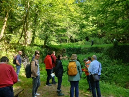 Lecture de paysage au vallon de la Bildmuhl
