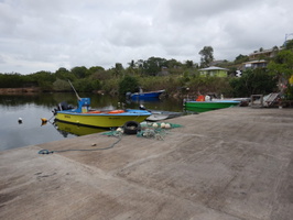Vue du port d'Anse-Bertrand en 2023