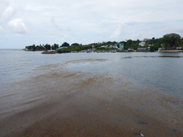 Vue du port du Moule en 2023
