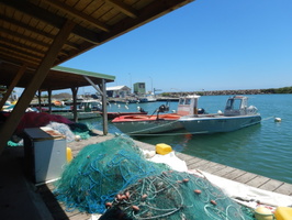 Vue du port de Sainte-Rose en 2023