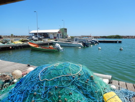 Vue du port de Sainte-Rose en 2023