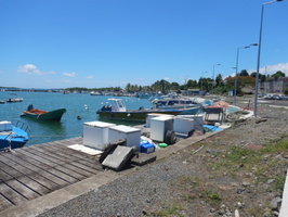 Vue du port de Sainte-Rose en 2023