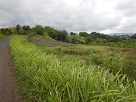 Conteneur PAP 2025 04 1624 LOW