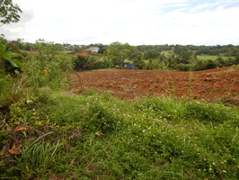 Conteneur PAP 2025 04 1622 LOW