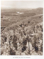 Saint-Pierre-de-Boeuf (1941)