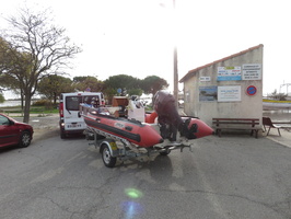 Crue du Rhone, Camargue