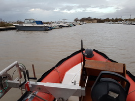 Crue du Rhone, Camargue