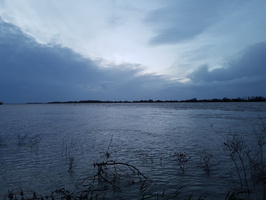 Crue du Rhone, Camargue
