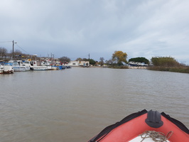 Crue du Rhone, Camargue