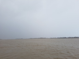 Crue du Rhone, Camargue