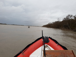 Crue du Rhone, Camargue