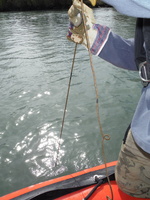 Prelevements en bateau sur le Rhone et l'Isere