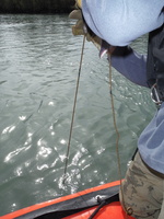 Prelevements en bateau sur le Rhone et l'Isere