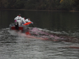 Tracage a la rhodamine sur le Rhone