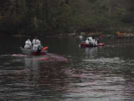 Tracage a la rhodamine sur le Rhone
