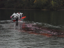 Tracage a la rhodamine sur le Rhone