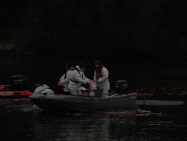 Tracage a la rhodamine sur le Rhone