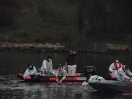 Tracage a la rhodamine sur le Rhone