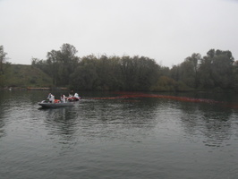 Tracage a la rhodamine sur le Rhone