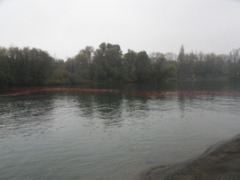 Tracage a la rhodamine sur le Rhone