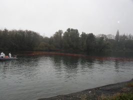 Tracage a la rhodamine sur le Rhone