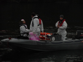 Tracage a la rhodamine sur le Rhone