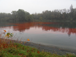 Tracage a la rhodamine sur le Rhone