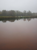 Tracage a la rhodamine sur le Rhone