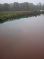 Tracage a la rhodamine sur le Rhone