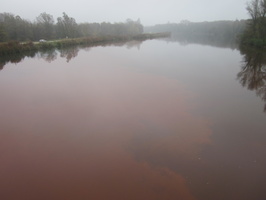 Tracage a la rhodamine sur le Rhone
