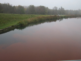 Tracage a la rhodamine sur le Rhone