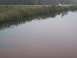 Tracage a la rhodamine sur le Rhone