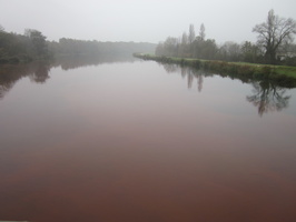 Tracage a la rhodamine sur le Rhone