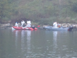 Tracage a la rhodamine sur le Rhone