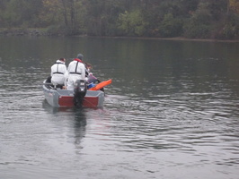 Tracage a la rhodamine sur le Rhone