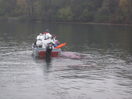 Tracage a la rhodamine sur le Rhone