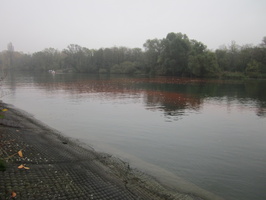 Tracage a la rhodamine sur le Rhone