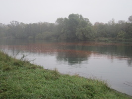 Tracage a la rhodamine sur le Rhone