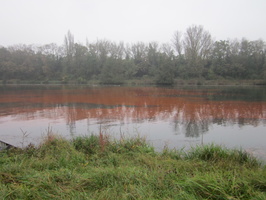 Tracage a la rhodamine sur le Rhone