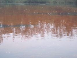 Tracage a la rhodamine sur le Rhone