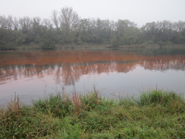 Tracage a la rhodamine sur le Rhone