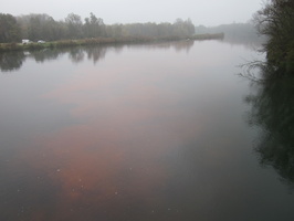 Tracage a la rhodamine sur le Rhone