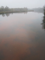 Tracage a la rhodamine sur le Rhone