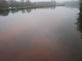 Tracage a la rhodamine sur le Rhone