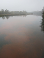 Tracage a la rhodamine sur le Rhone