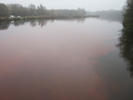 Tracage a la rhodamine sur le Rhone