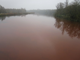 Tracage a la rhodamine sur le Rhone