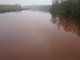 Tracage a la rhodamine sur le Rhone